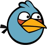 Bird 5
