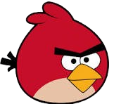 Bird 6