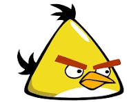 Bird 7