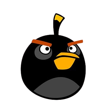 Bird 8