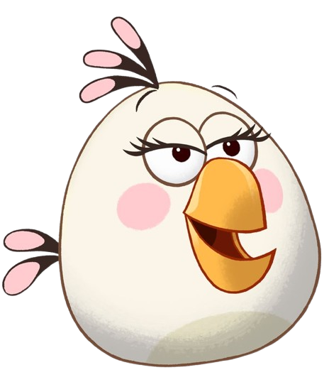 Bird 9